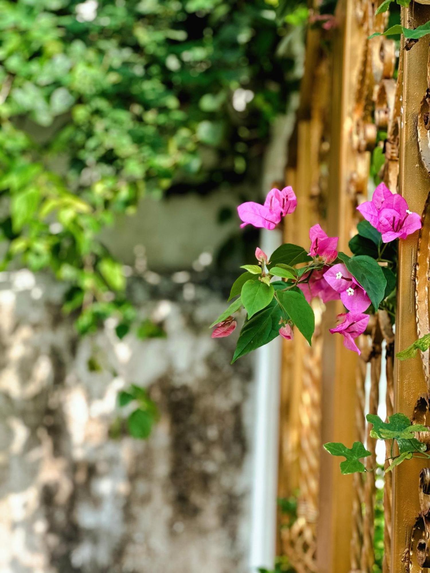 Blue Fish Villa Tan Thanh Zewnętrze zdjęcie